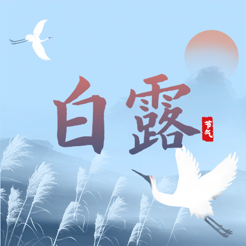 白露 | 蒹葭蒼蒼，白露為霜